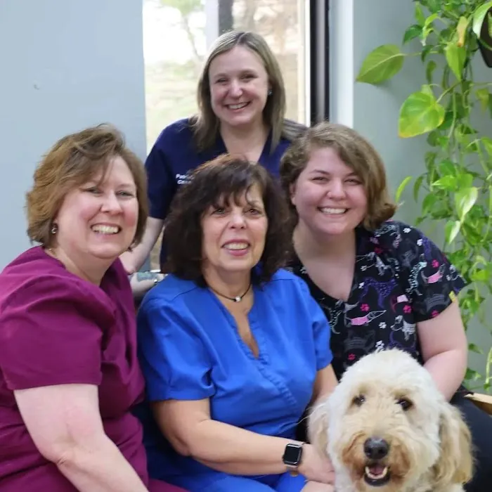 Companion Care Animal Clinic Picture 6