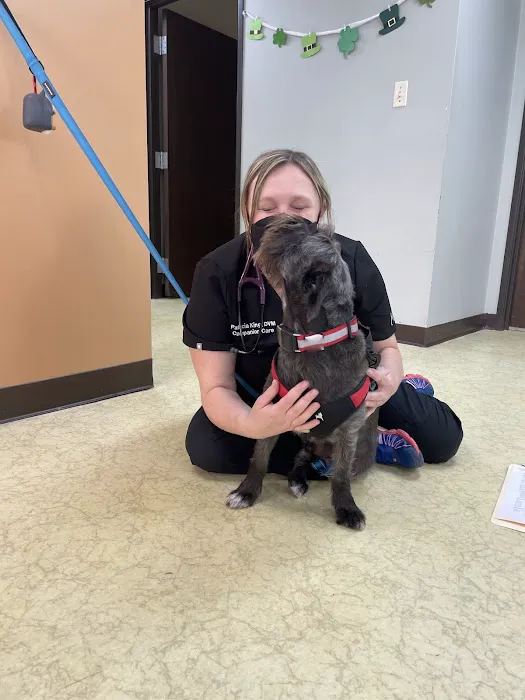 Companion Care Animal Clinic Picture 5