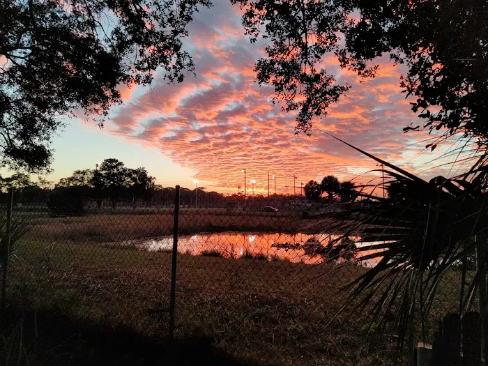 My Backyard Picture 10