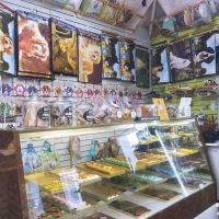 Doggie Style K9 Cafe ico