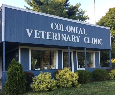 Colonial Animal Hospital