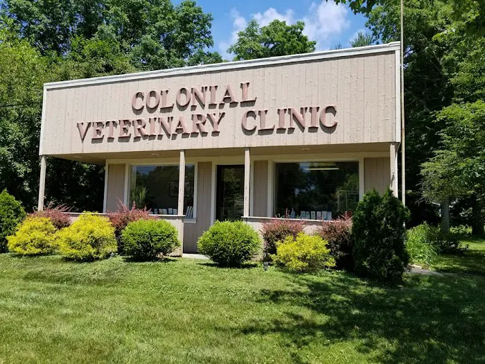 Colonial Animal Hospital Picture 4