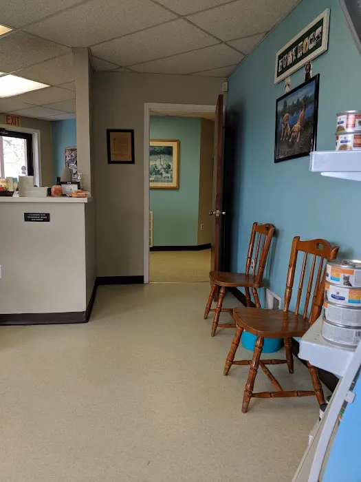 Colonial Animal Hospital Picture 6
