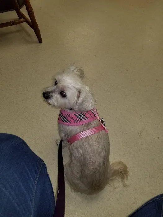 Colonial Animal Hospital Picture 10