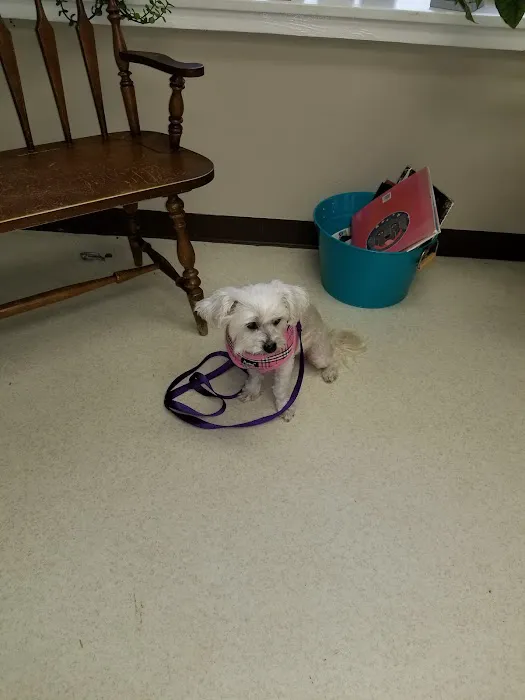 Colonial Animal Hospital Picture 9