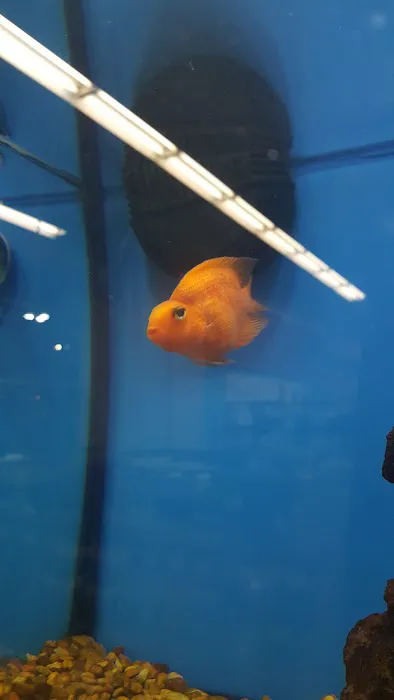 Petco Picture 1