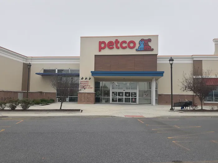 Petco Picture 4