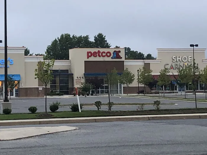 Petco Picture 3
