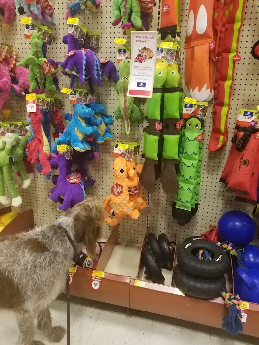 Petco Picture 5