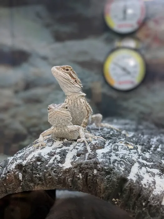 Petco Picture 6