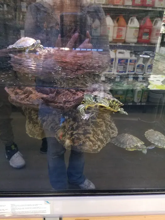 Petco Picture 8