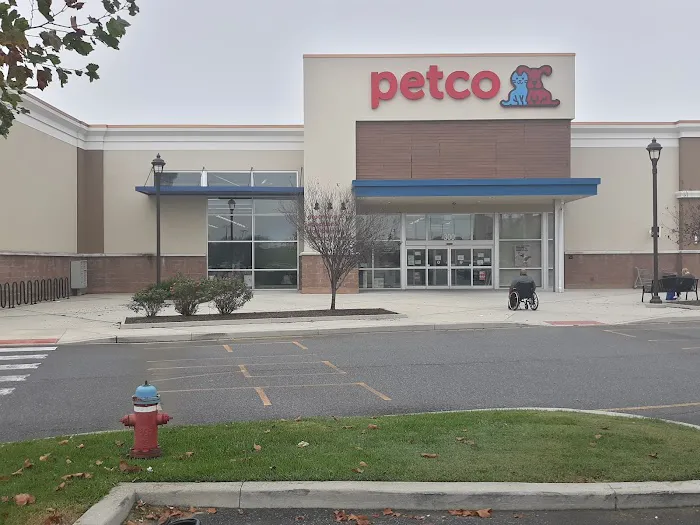 Petco Picture 10