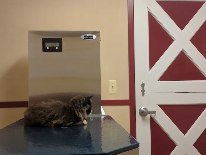 Barnside Veterinary Hospital Picture 3