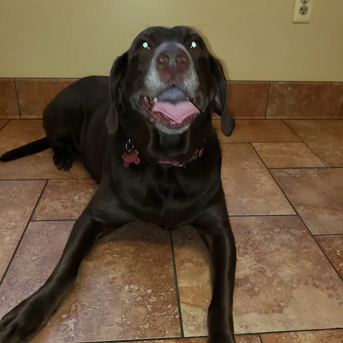 Barnside Veterinary Hospital Picture 4