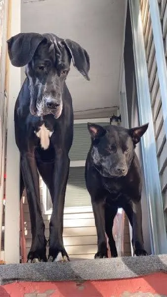 Barnside Veterinary Hospital Picture 8