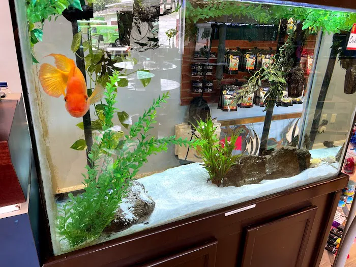 Aquatics Super Store - Super Cichlids & More Picture 1