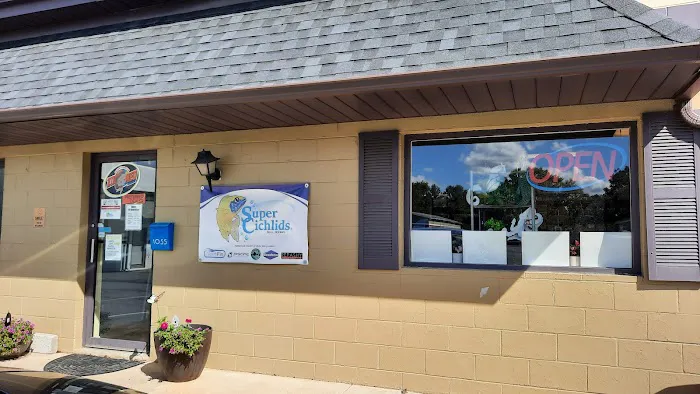 Aquatics Super Store - Super Cichlids & More Picture 3