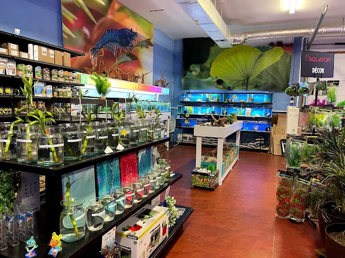 Aquatics Super Store - Super Cichlids & More Picture 4