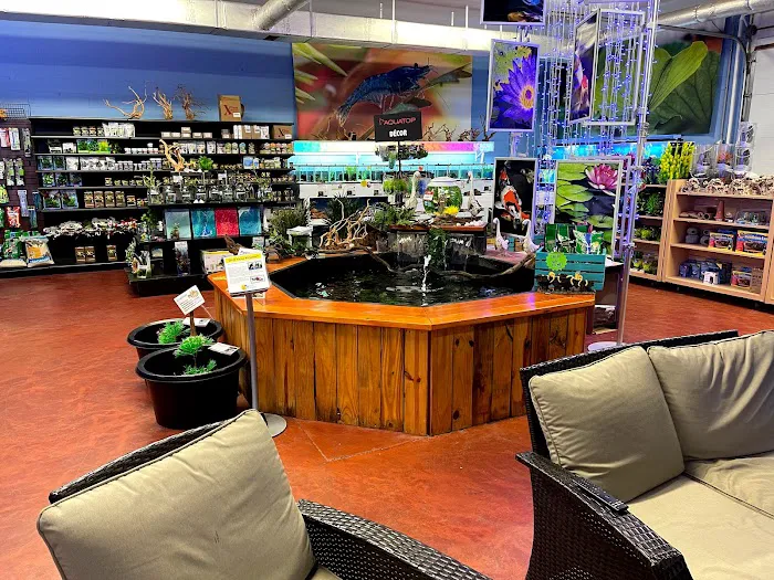 Aquatics Super Store - Super Cichlids & More Picture 7