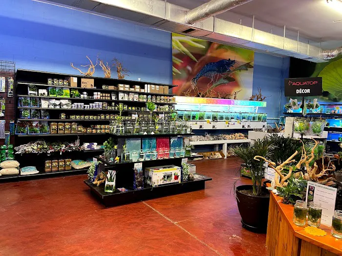 Aquatics Super Store - Super Cichlids & More Picture 9