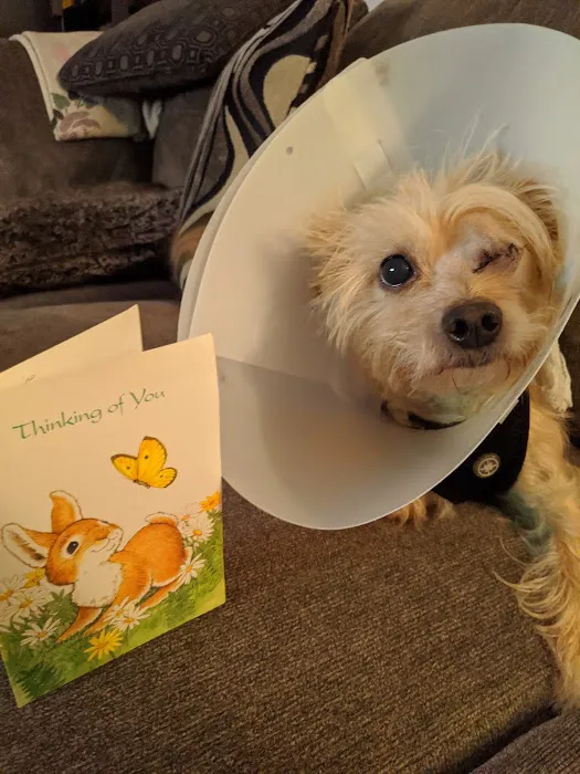Route 516 Animal Hospital Picture 1