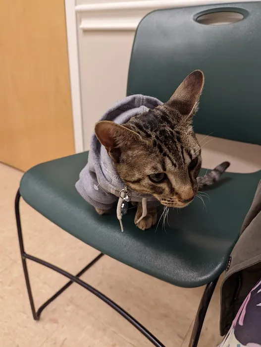 Route 516 Animal Hospital Picture 4