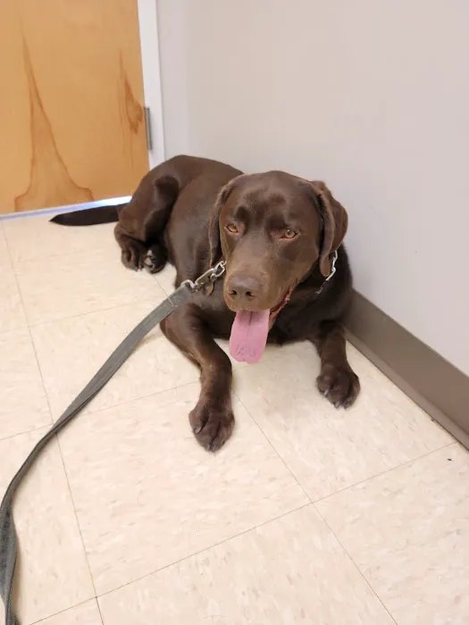 Route 516 Animal Hospital Picture 5