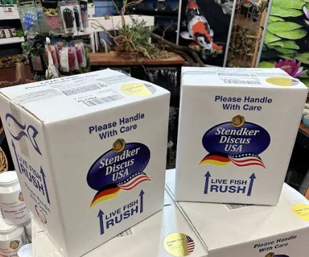 Stendker Discus USA