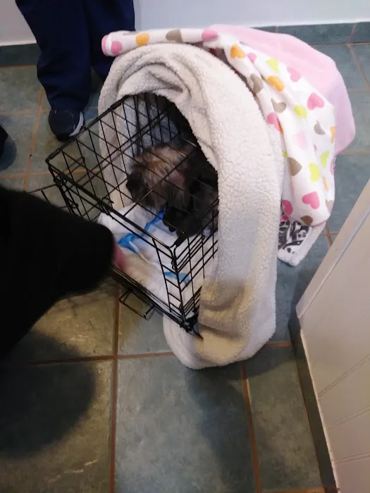 Matawan Animal Hospital Picture 1