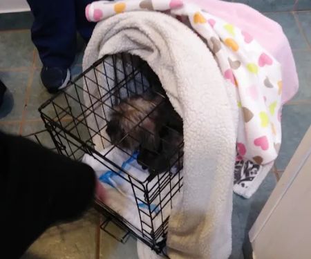 Matawan Animal Hospital