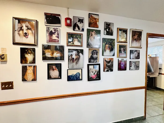 Matawan Animal Hospital Picture 5