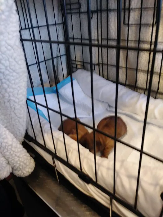 Matawan Animal Hospital Picture 4