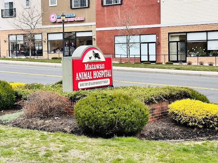 Matawan Animal Hospital Picture 3