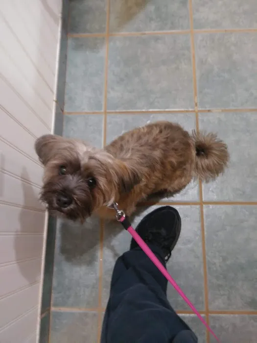 Matawan Animal Hospital Picture 9