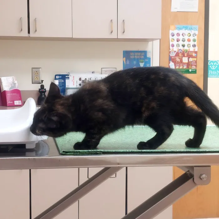 Antietam Valley Animal Hospital Picture 2