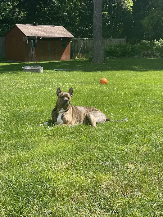 Antietam Valley Animal Hospital Picture 9