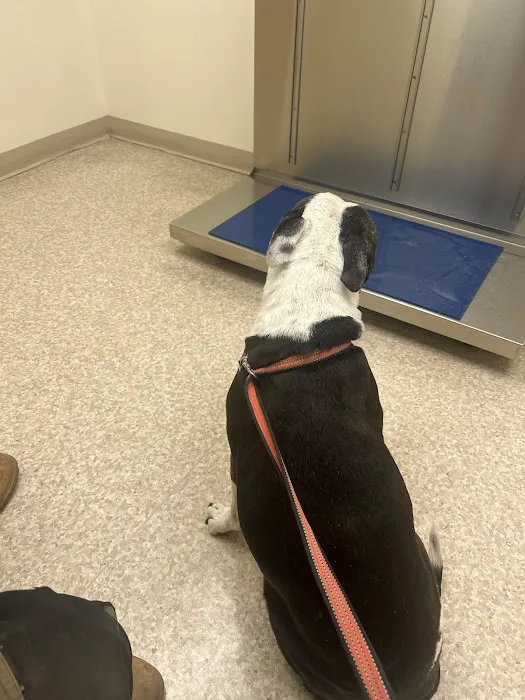 Antietam Valley Animal Hospital Picture 10