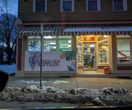 Hidden Gem Reptiles