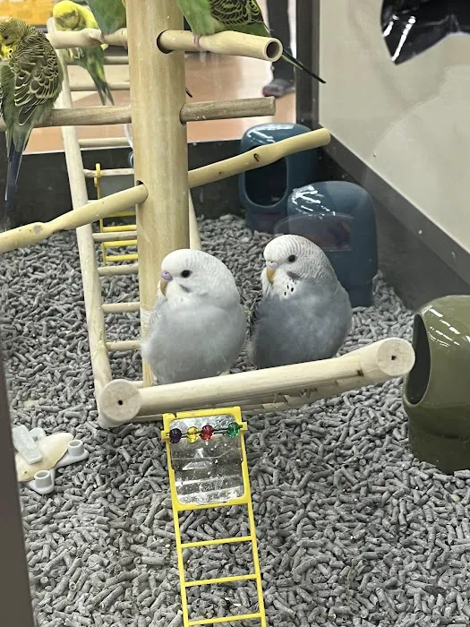 Petco Picture 1