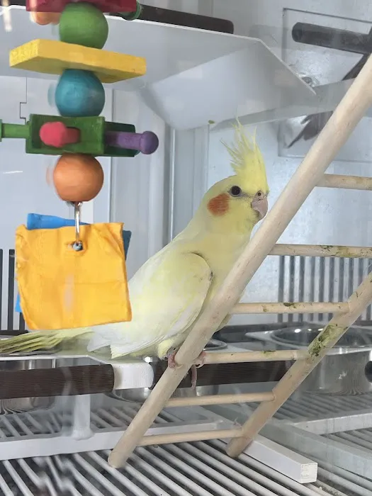 Petco Picture 4