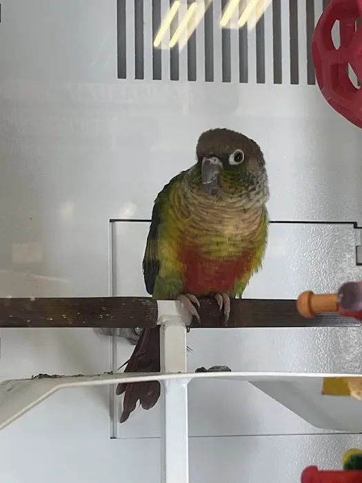 Petco Picture 7
