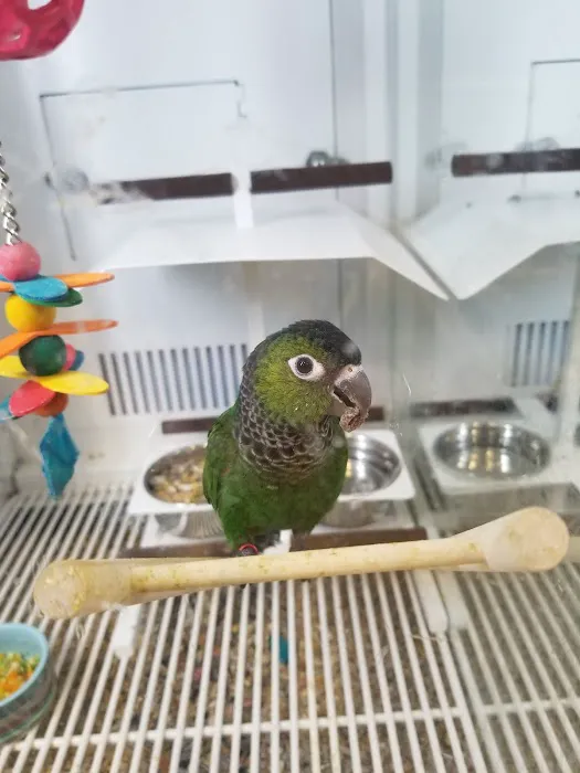 Petco Picture 8