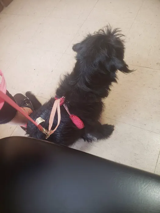 Animal Clinic of Reading Picture 4