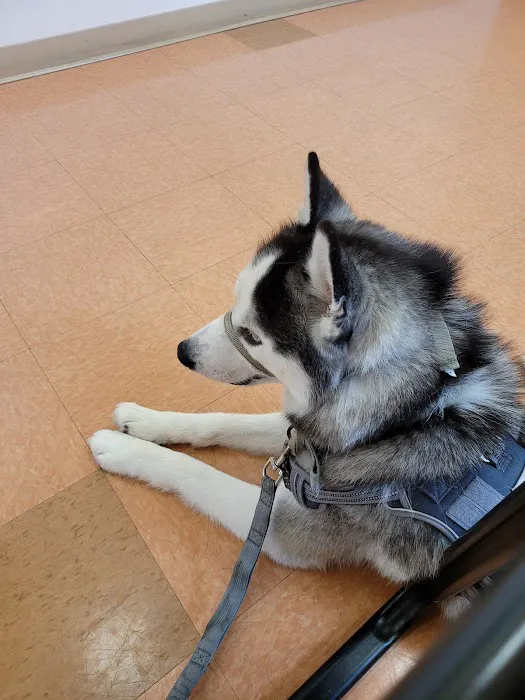 Humane Veterinary Hospitals - Reading Picture 4
