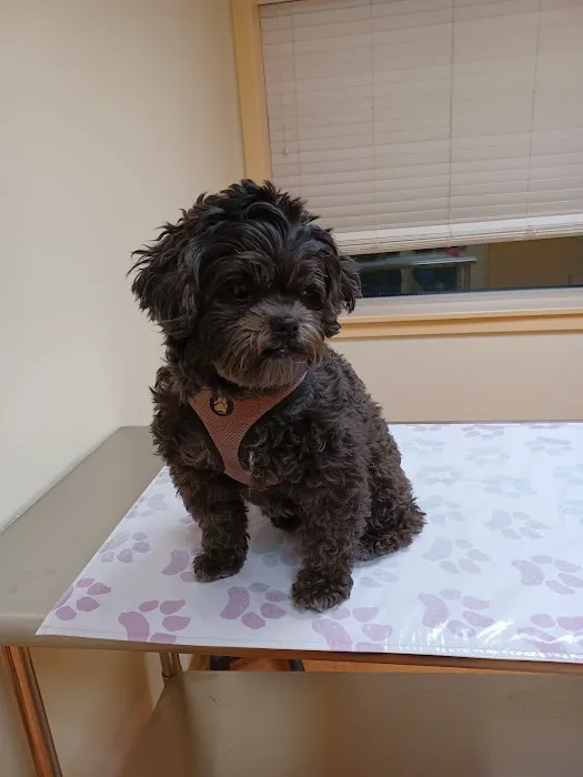 Humane Veterinary Hospitals - Reading Picture 2