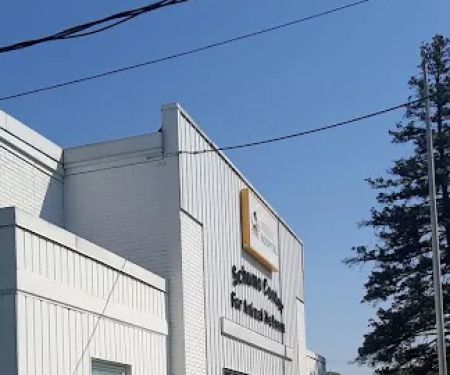 Humane Veterinary Hospitals - Reading