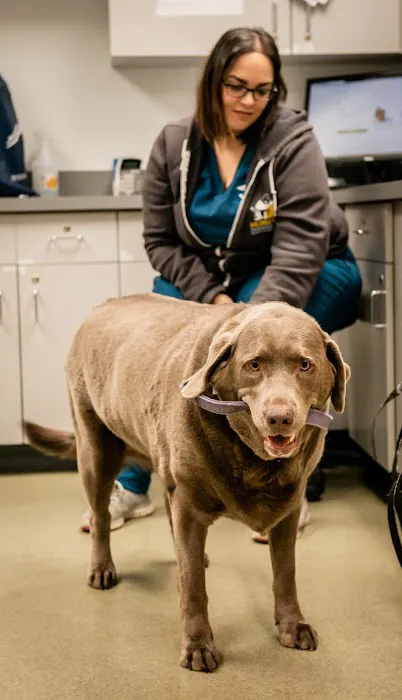 Humane Veterinary Hospitals - Reading Picture 8
