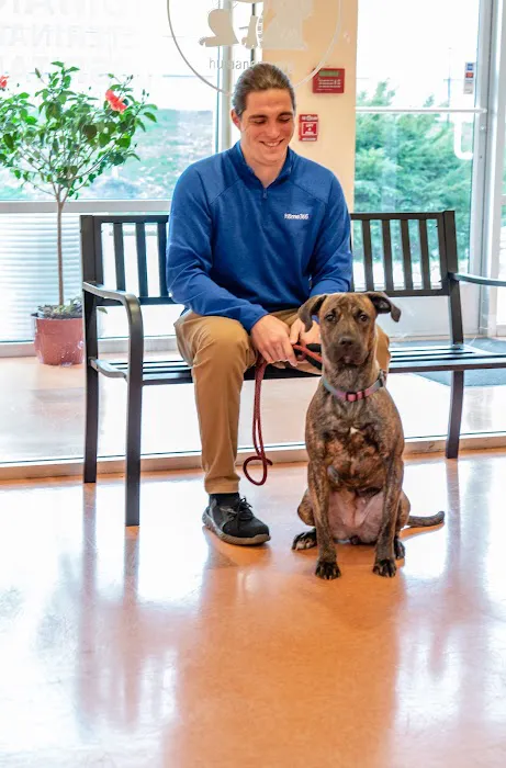 Humane Veterinary Hospitals - Reading Picture 7