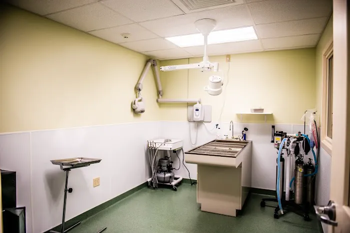 Humane Veterinary Hospitals - Reading Picture 6
