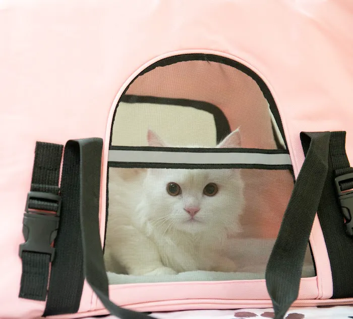 Humane Veterinary Hospitals - Reading Picture 10